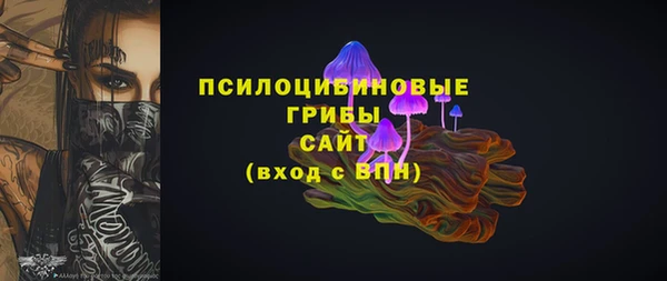 СК Алексеевка